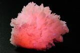 Pink Manganoan Calcite Crystal Cluster - Fluorescent! #361518-1